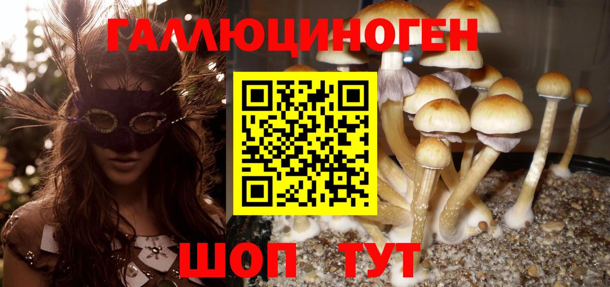 Псилоцибиновые грибы Cubensis  Псилоцибиновые грибы Magic Shrooms  Донской  Вход с VPN 